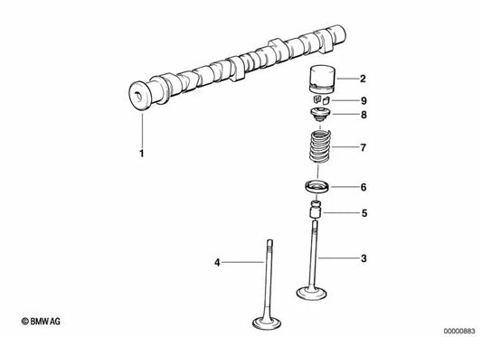 Ventilfeder for BMW Series 3 E36, Series 5 E34, E39, Series 7 E38 (OEM 11342244813). Genuine BMW