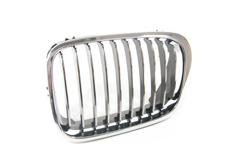 Friñoneras / Front Grills Chrome para BMW E46 Pre. BMW original.