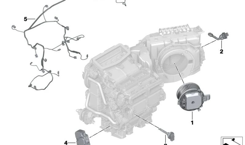 OEM -Verkabelung 64115A05C18 für BMW E23. Original BMW.