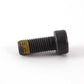 ISA screw for BMW E46, E60, E61, E83, E53, E85 (OEM 11227519572). Genuine BMW