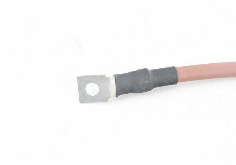 Cable de Masa del Generador para BMW X5 E53 (OEM 12421438941). Original BMW.