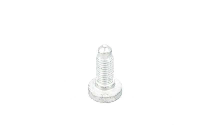 Tornillo Cono para BMW Z4 E89 (OEM 41517031849). Original BMW.