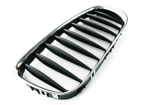 Front grilles, kidney bags for BMW Z4 E85, E86, . Genuine BMW.