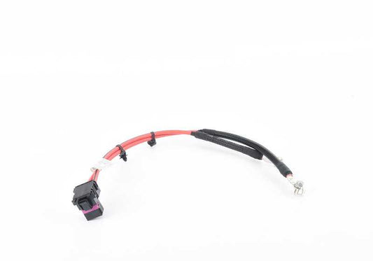 Cable set for BMW 5 Series F10, F11 and 6 Series F06, F12, F13 (OEM 61129233748). Original BMW.