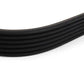 Poly-V belt for BMW 3 Series E36, E46 (OEM 11281437369). Genuine BMW