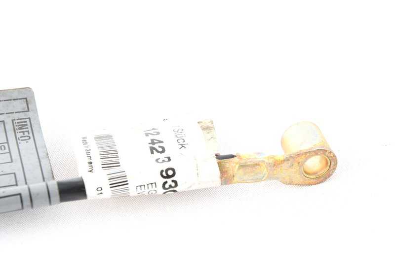 Cable de masa para BMW Serie 7 E38 (OEM 12421733930). Original BMW.