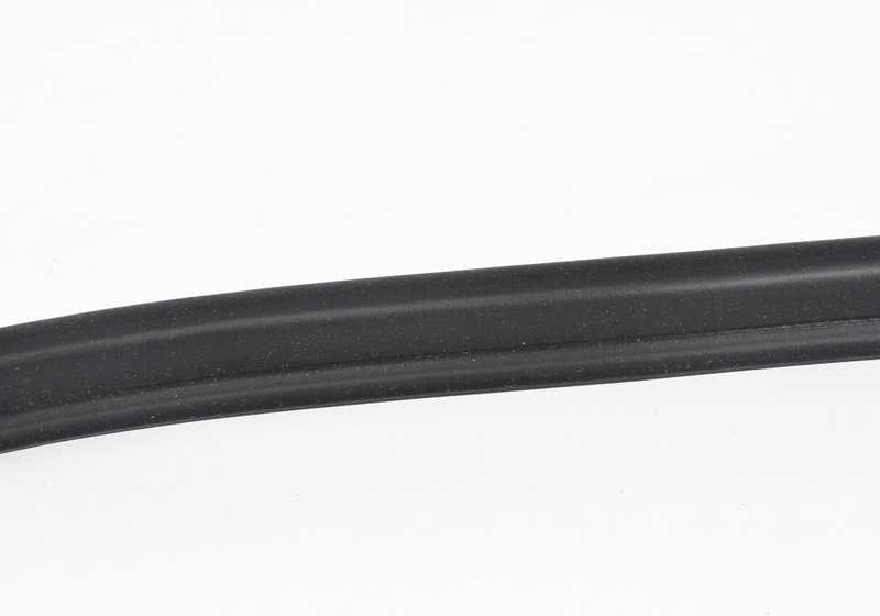 Protección de borde para puerta trasera para BMW X5 E70, E70N (OEM 51727333608). Original BMW.