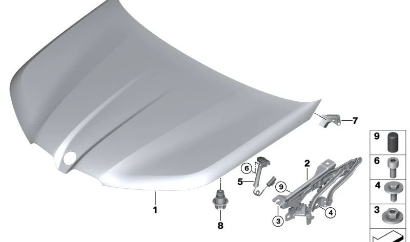 OEM 51649853427 Cerniera anteriore sinistra per BMW I20 (Modello compatibile: I20). BMW originale.