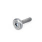 Tornillo Innentorx M6X28,5 para BMW Serie 1 E81, E82, E87, F20, F21, Serie 2 F22, F23, G42, Serie 3 E90, E91, E92, F30, F31, F34, G20, G21, G80, Serie 4 F32, F33, G22, G23, G26, G82, Serie 5 E60, F07, F10, F11, F18, F90, G30, G31, G38, Serie 6 E63, F06, F