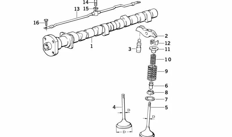 Muelle de válvula exterior para BMW E36, E34, E38, E31 (OEM 11341247199). Original BMW