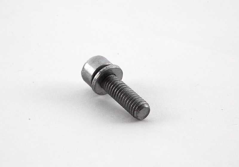 Tornillo ISA con arandela para BMW Serie 3 E90, E92, E93, Serie 5 E34, E39, Serie 7 E32, E38, Serie 8 E31 (OEM 07129905556). Original BMW