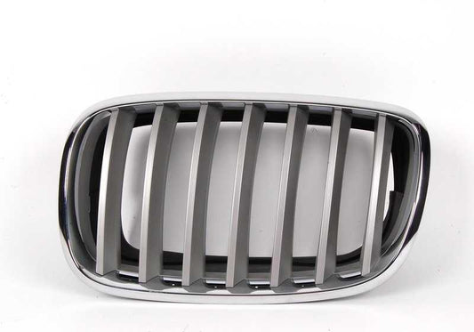 Rejilla decorativa para BMW X5 E70, E70N, X6 E71, E72 (OEM 51137185223). Original BMW.