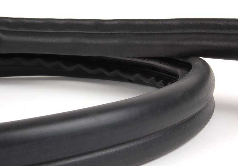 Protección de Bordes Puerta Delantera Izquierda para BMW Z4 E85 (OEM 51727125651). Original BMW.