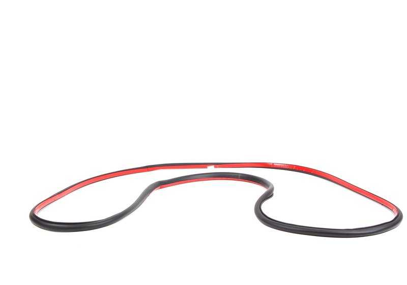 Rear door rubber gasket for BMW E60, E53, . Genuine BMW.