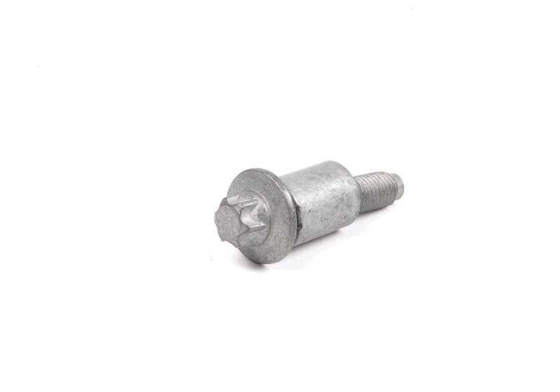 Tornillo Aussentorx para BMW Serie 1 E81, E82, E87N, E88, Serie 3 E90, E91, E92, E93, Serie 5 E60N, E61N, F10, F11, F18, Serie 6 E63N, E64N, Serie 7 E65, E66, F01, F02, X1 E84, X3 E83N, F25, X5 E70, Z4 E85, E86, E89 (OEM 11127558448). Original BMW