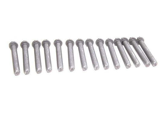 Cylinder Head Bolt Kit for BMW E46, E85, E86 (OEM 11127831862). Original BMW