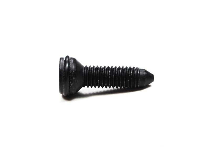 Torx Screw M8x18 for BMW 3 Series E46, E90, F30, X1 E84, X3 E83, F25 (OEM 54218410534). Original BMW