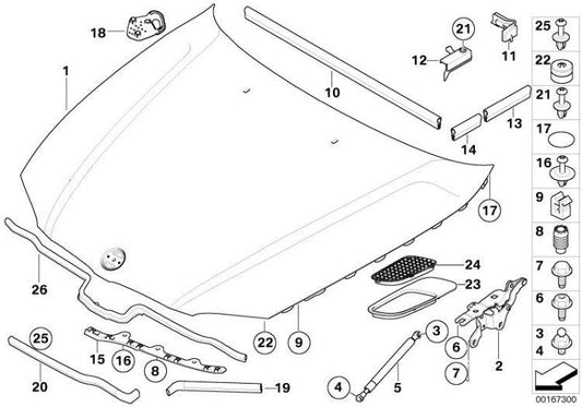 Muelle Presurizado De Gas Original Bmw Capó 330N Para E91 E91. Original Recambios