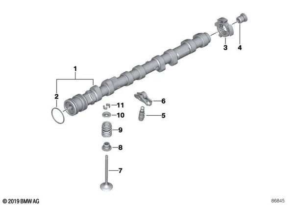 Árbol de levas de escape para BMW E60, E60N, E61, E61N, E63, E63N, E64, E64N, E65, E66, E53, E70 (OEM 11317570499). Original BMW