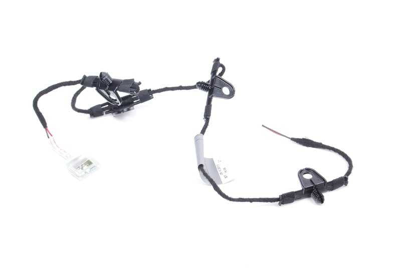 Iluminación del tirador de la puerta derecha para BMW E92, E92N, E93, E93N (OEM 63317163512). Original BMW