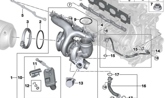 Tubería de suministro de aceite para BMW G42, U06, G20N, G21N, G22, G23, G26, G30, G31, G60, G32, U11, G01N, G02N, G06 (OEM 11428489607). Original BMW