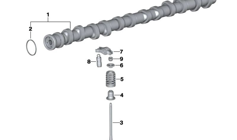 Árbol de levas de escape OEM 11317576161 para BMW (Modelos compatibles: E82, E88, F20, F21, F22, F23, F87, E90, E91, E92, E93, F30, F31, F34, F80, F32, F33, F36, F82, F83, F07, F10, F11, F06, F12, F13, F01, F02, E84, F25, F26, E70, F15, E71, F16). O