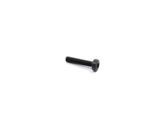 Innentorx screw for BMW E46, E39, E53 (OEM 24351423586). Genuine BMW