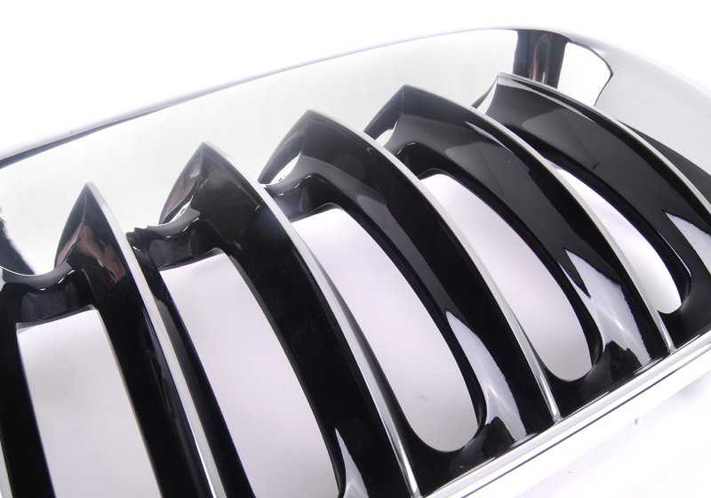 Rejilla decorativa frontal izquierda para BMW X3 E83, E83N (OEM 51133414903). Original BMW