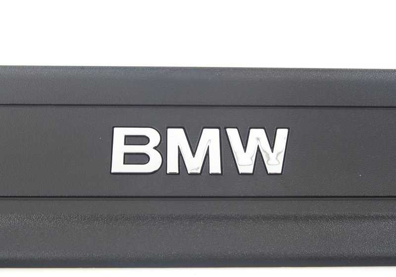 Protector de entrada delantero OEM 51477205597 para BMW F25 (X3), F26 (X4). Original BMW.