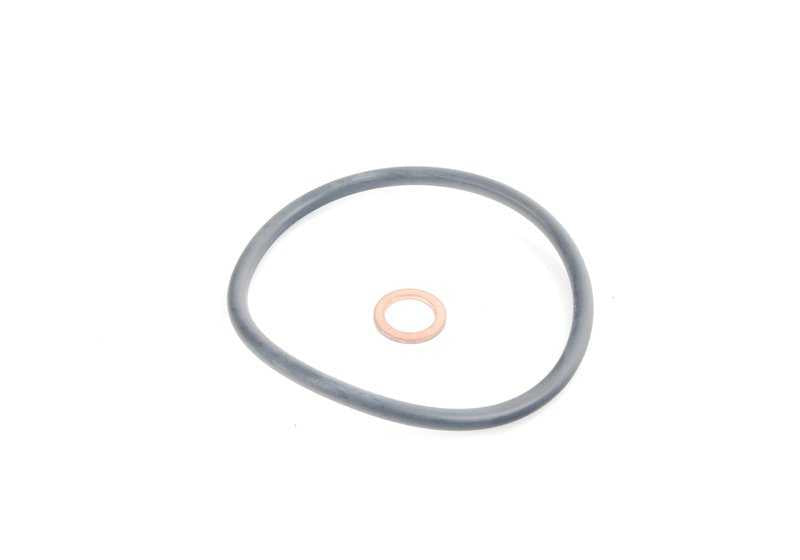 Juego de insertos de filtro de aceite para BMW Serie 5 F10, F11, X1 E84, X3 F25 (OEM 11427634292). Original BMW