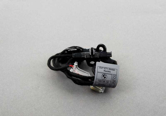 Iluminación del tirador de puerta trasero derecho para BMW E71, E72 (OEM 63177209884). Original BMW