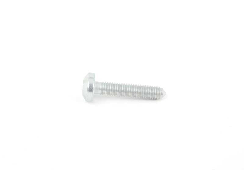 Tornillo Torx para BMW E81, E82, E87, E88, F20, F21, F22, F23, F87, E90, E91, E92, E93, F30, F31, F34, F80, F32, F33, F36, F82, F83, E60, F07, F10, F11, E63, F06, F12, F13, E65, F01, F02, E84, E83N, F25, F26, E70, F15, F16, E85, E86, E89, Mini R55, R56, R