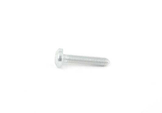 Torx Screw for BMW E81, E82, E87, E88, F20, F21, F22, F23, F87, E90, E91, E92, E93, F30, F31, F34, F80, F32, F33, F36, F82, F83, E60, F07, F10, F11, E63, F12, F13, E65, F01, F02, E84, E83N, F25, F26, E70, F15, F16, E85, E86, E89, Mini R55, R56, R