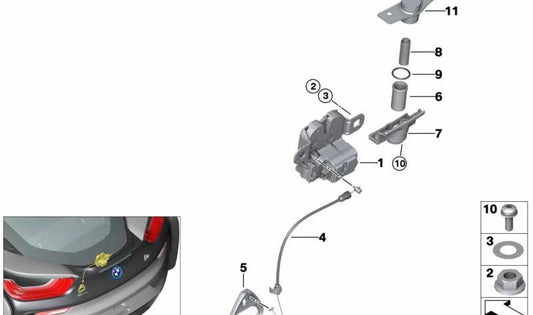 Muelles Espirales para BMW I15 (OEM 51007931913). Original BMW