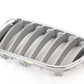 Rejilla decorativa OEM 51117237421 para BMW X3 (F25). Original BMW.