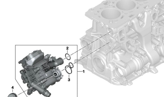 Dichtung für BMW 1er F20N, F21N, 2er F22, F23, 3er F30N, F31N, G20, 4er F32, F36, G22, 5er G30, G31, 6er G32, 7er G11, X3 G01, X4 G02 (OEM 11538658574). Original BMW