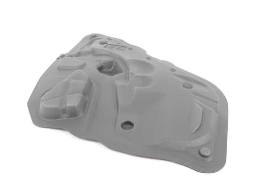 Aislante acústico puerta trasera izquierda OEM 51487355623 para BMW X6 (E71, E72). Original BMW