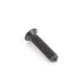 Tornillo Torx avellanado OEM 07147160286 para BMW (Modelos compatibles: E91, E70). Original BMW.