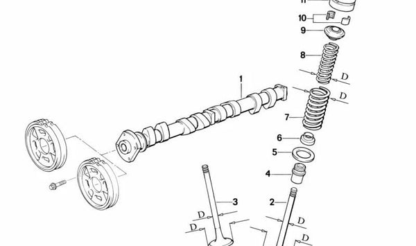 Resorte de válvula para BMW Serie 3 E30, E36 (OEM 11341727768). Original BMW