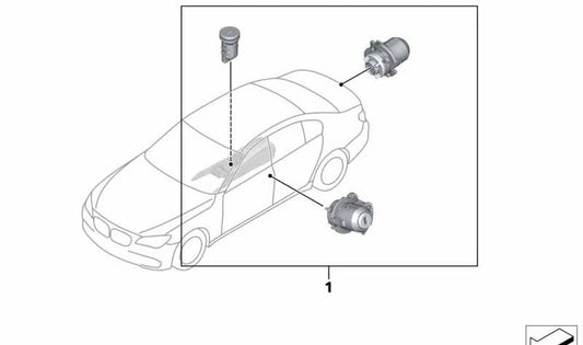 Juego de Igualación Codificada para BMW F01, F02, F04 (OEM 51217251676). Original BMW