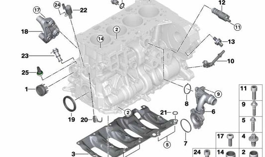 O -ring per BMW F20N, F21N, F40, F22, F23, F44, F45, F46, G42, F30, F31, F34, G20, G21, G28, F32, F33, F36, G22, G23, G26, F10n, F11n , G30, G31, G32, G11, G12, F48, F39, G01, G02, G05 e Mini F54, F55, F56, F57, F60 (OEM 11118470488). BMW originale.