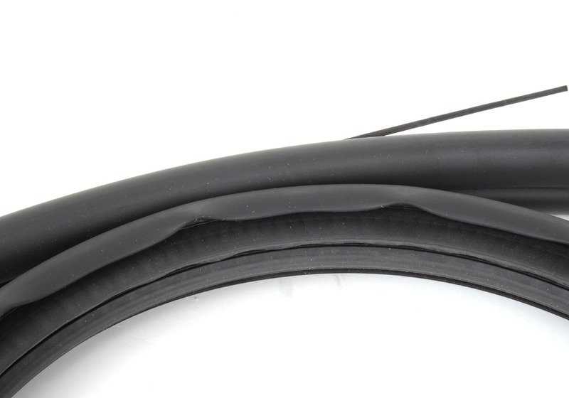 Protector de Bordes de Puerta Delantera para BMW Serie F: F30, F31, F35, F80 . Original BMW