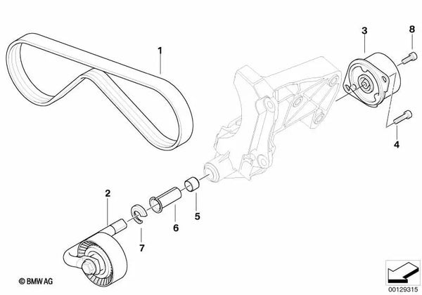 Correa poli V para BMW E46, E65, E83, E53 (OEM 64557786705). Original BMW