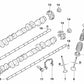 Verschlussschraube für BMW 3er E46, Z4 E85, E86 (OEM 11337838046). Original BMW.