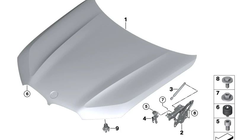 Amortiguador de Gas para Portón Delantero Pasivo para BMW F95, G05, G18, F96, G06, G07 (OEM 51237418188). Original BMW.