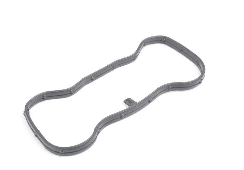 Juego de juntas de perfil para BMW F07, F10, F11, F06, F12, F13, F01N, F02N, F15, F85, F16, F86 (OEM 11127614700). Original BMW