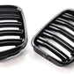 Riñoneras Negras Doble Línea Para Bmw E46 Berlina/touring Pre 1998-08/2001