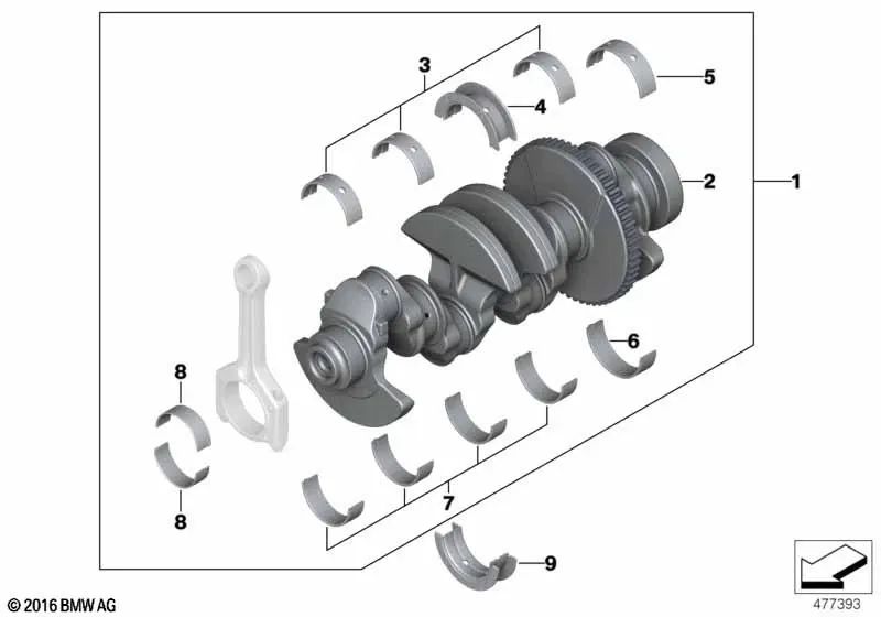 Cojinete verde para BMW E81, E82, E87, E87N, E88, E46, E90, E90N, E91, E91N, E92, E92N, E93, E93N, E60N, E61N, E84, E83, E83N, E85 (OEM 11217512502). Original BMW