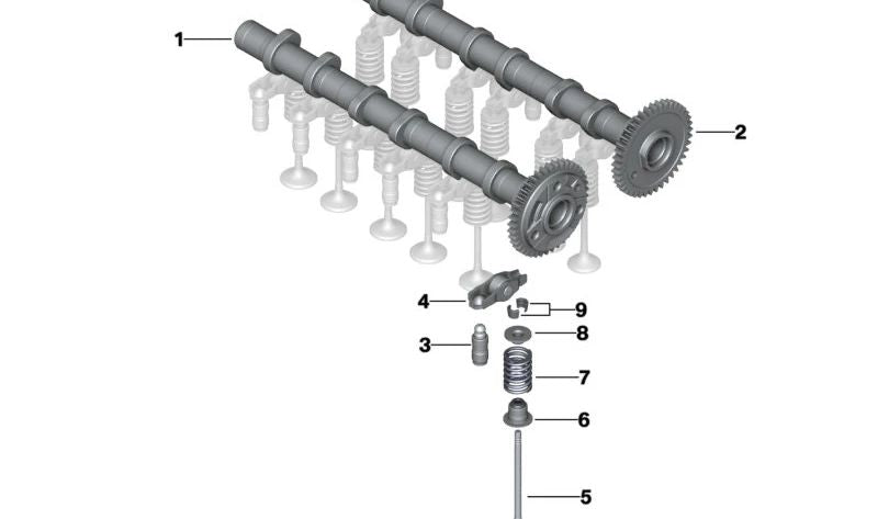 Resorte de válvula OEM 11347805366 para BMW E81, E82, E87, E88, F20, F21, F40, F22, F23, F44, F45, F46, E90, E91, E92, E93, F30, F31, F34, G20, G21, G28, F32, F33, F36, G22, G23, G26, E60, E61, F07, F10, F11, G30, G31, G60, G61, F06, F12, F13, G32,