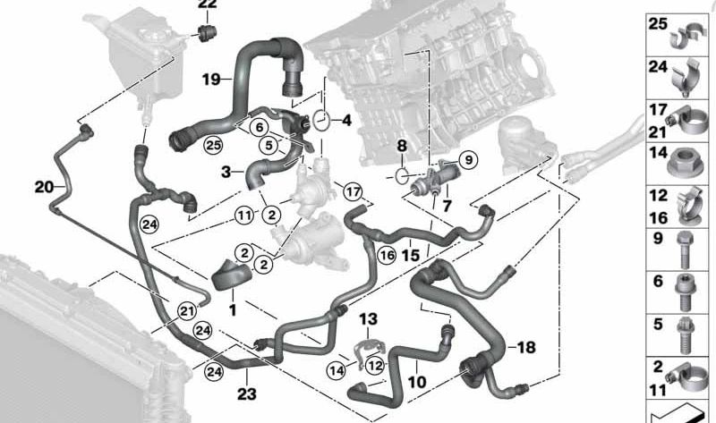 Cylinder-Thermostat Hose for BMW 1 Series E81, E87N, E88, 3 Series E90, E90N, E91, E91N, E92, E92N, E93, E93N, 5 Series E60N, E61N (OEM 11537552395). Genuine BMW